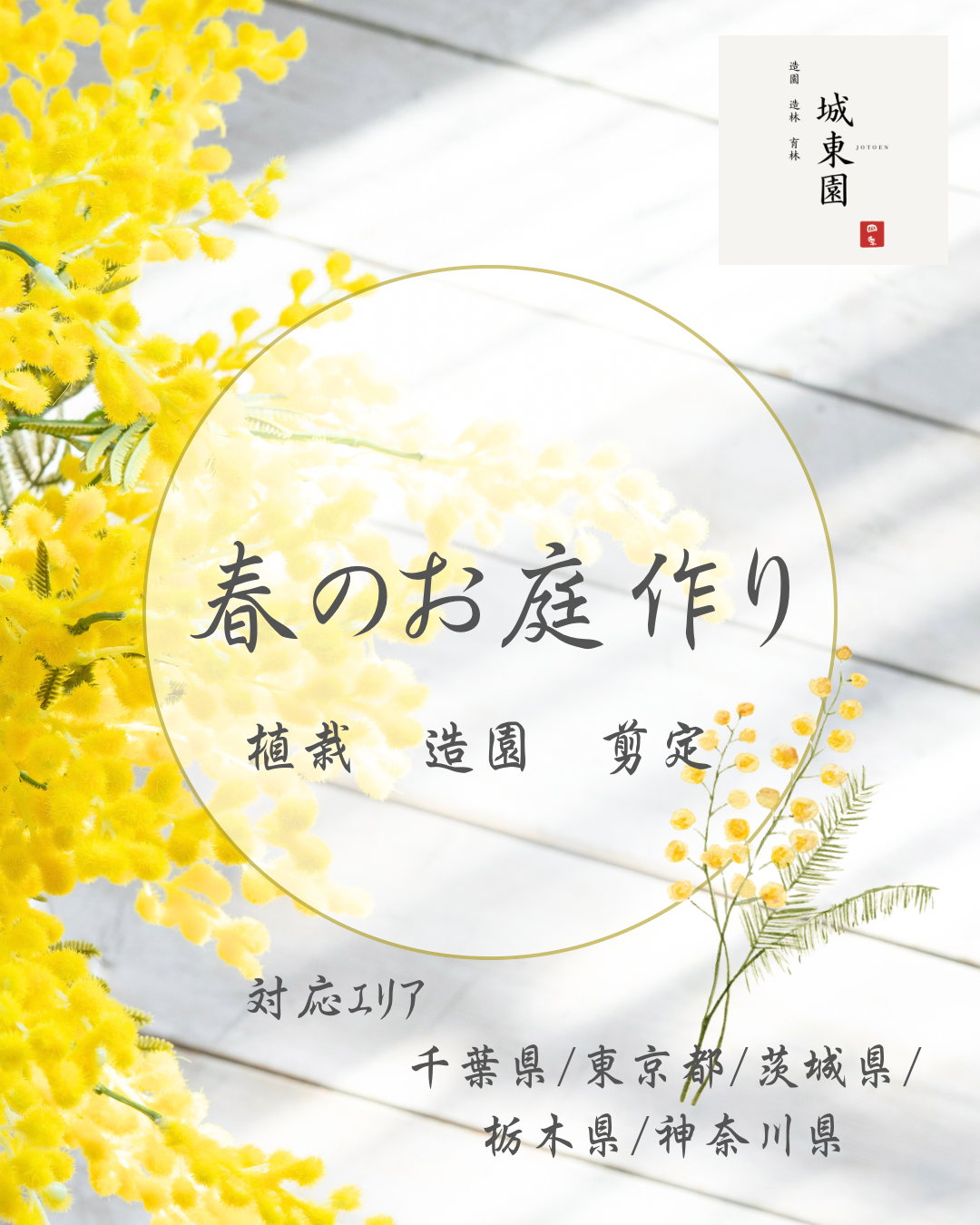 季節の植木販売。の画像